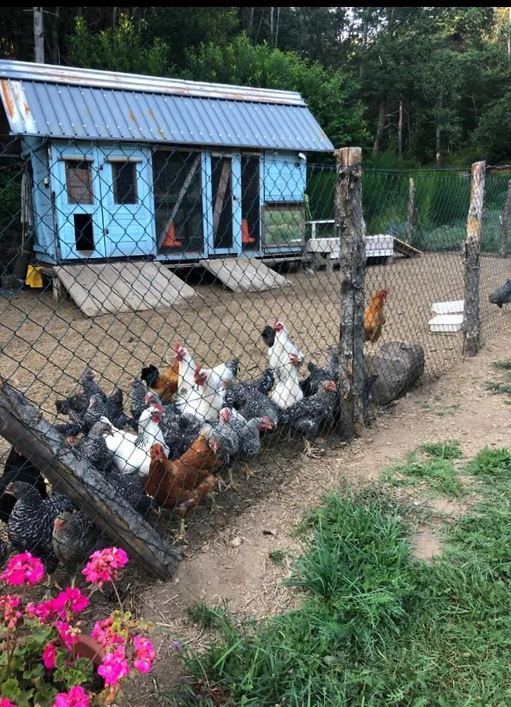 Agriturismo La Casa Nel Bosco Boveglio Alloggio per agriturismo